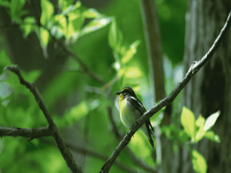 尿沉渣试管直径（深圳ld测试管）