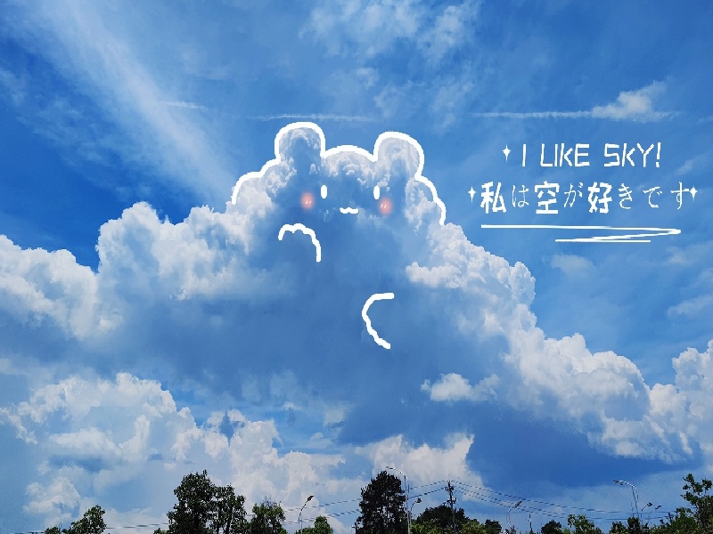 试管架 齿（试管女性访谈视频）